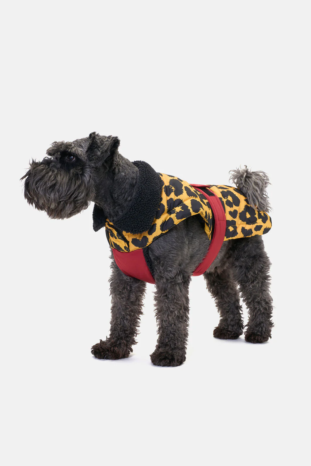 Leopard Dog Puffer Coat