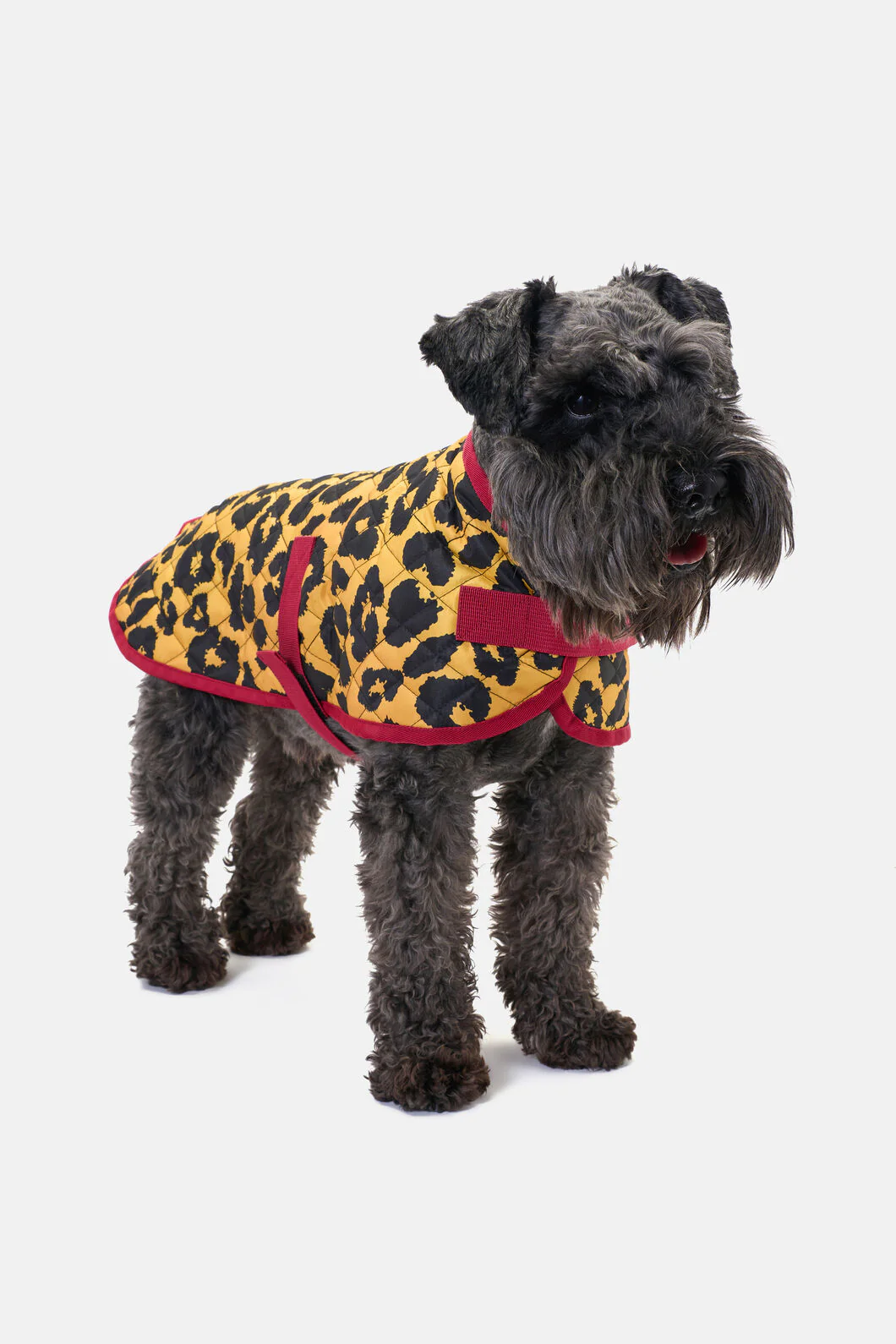 Leopard Quilted Dog Coat