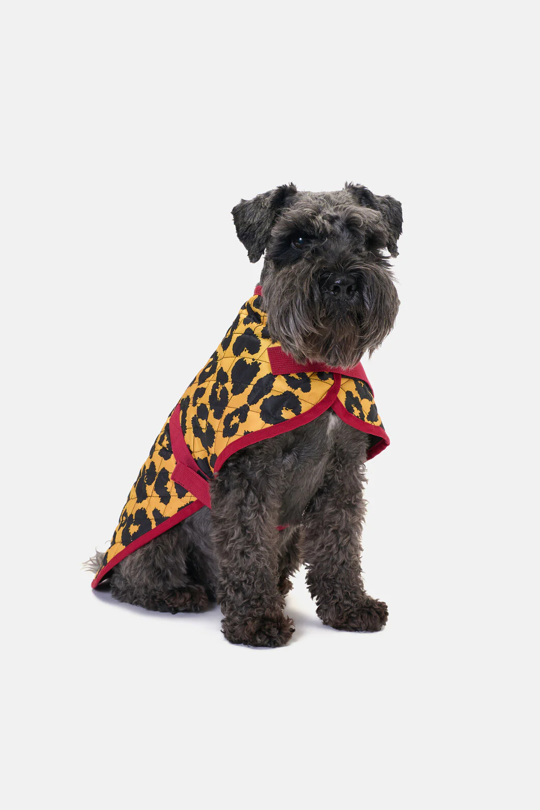 Leopard Quilted Dog Coat - Image 2