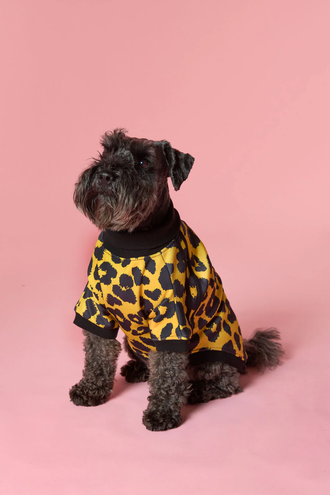 Leopard Terry Pet Jumper