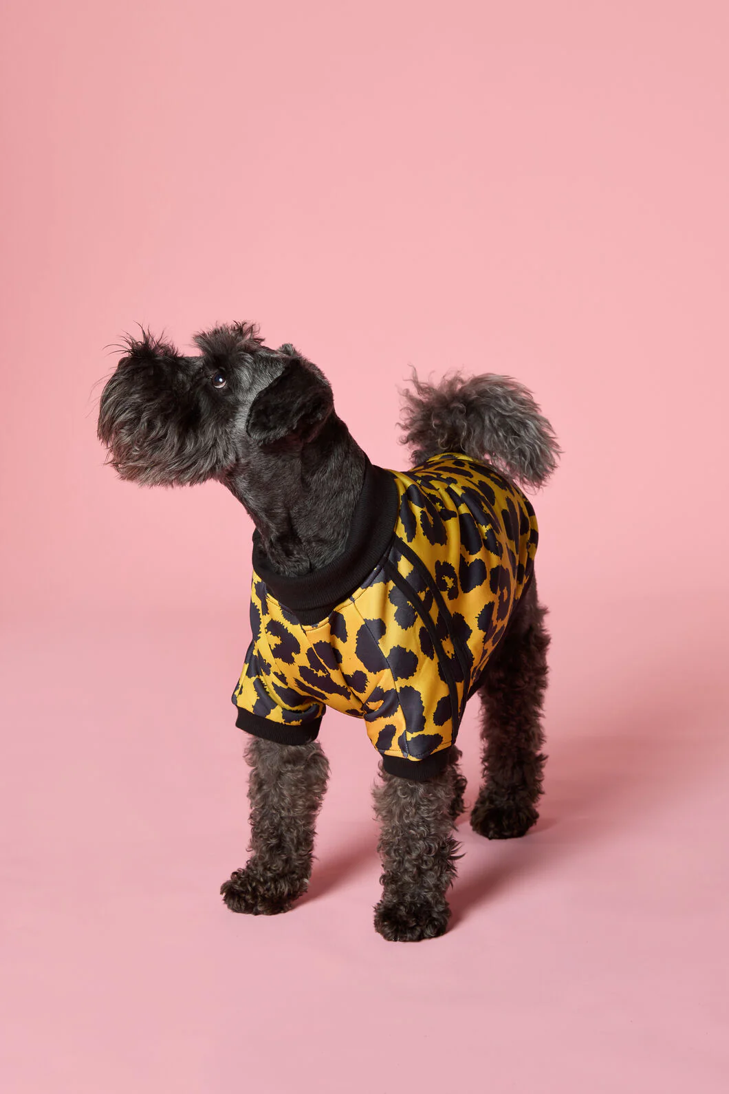 Leopard Terry Pet Jumper - Image 2