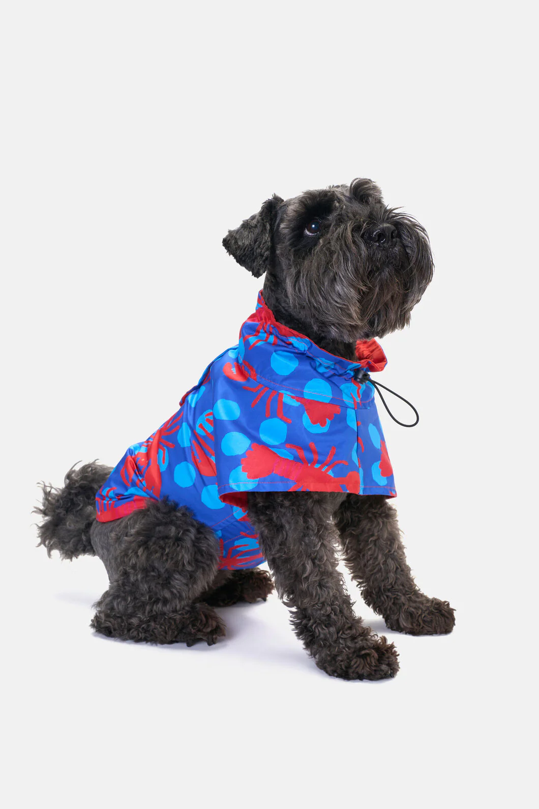 Lobster Pet Raincoat - Image 2