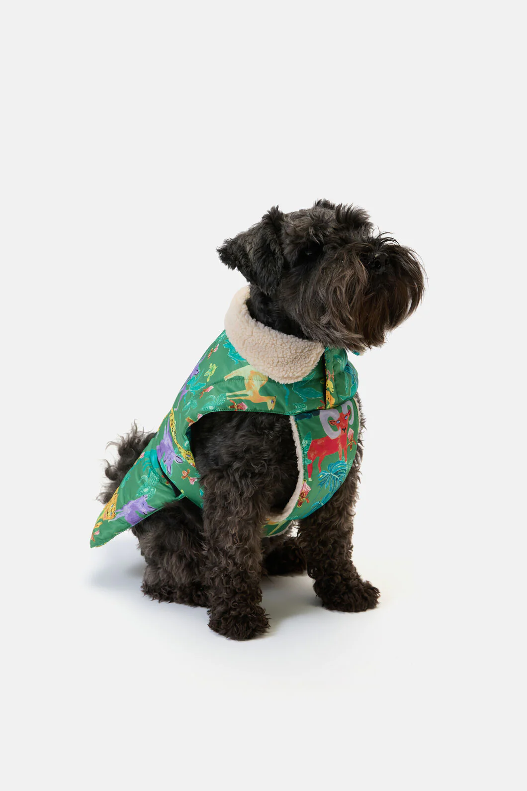 Orchid Safari Dog Puffer Coat