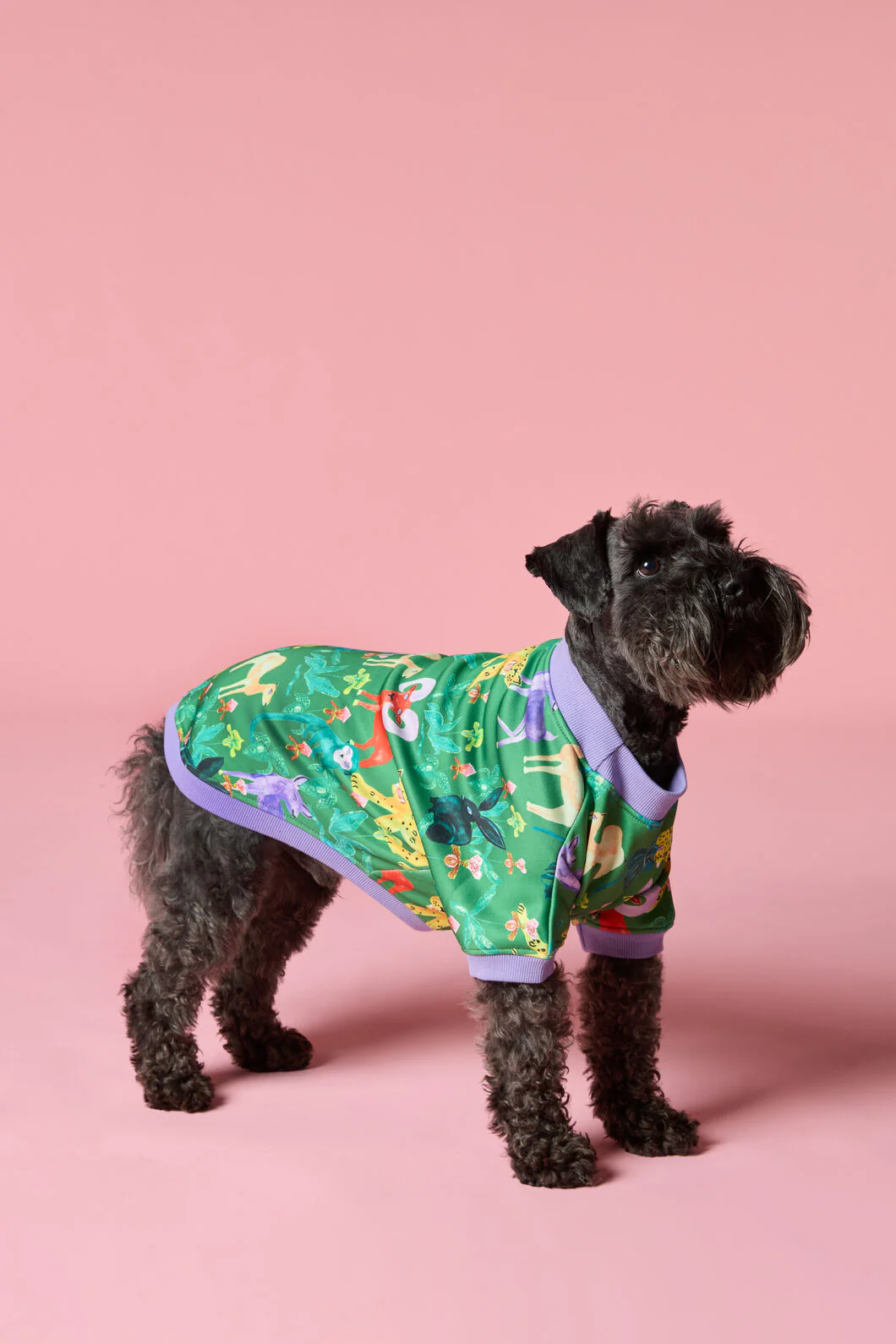 Orchid Safari Fleece Pet Jumper