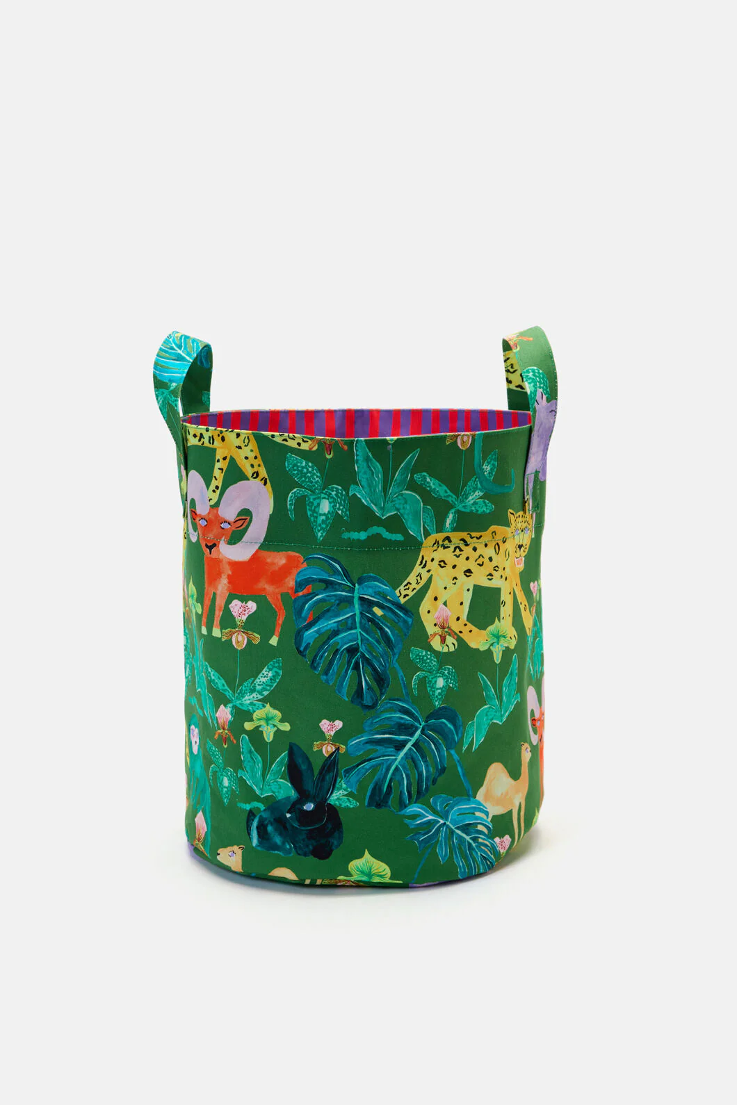 Orchid Safari Hamper - Image 2