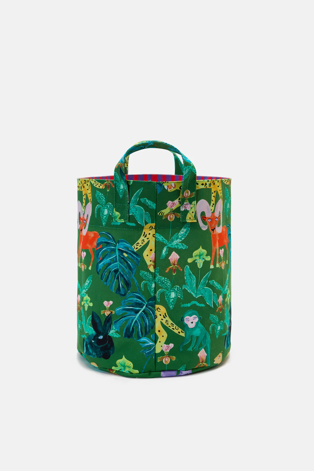 Orchid Safari Hamper - Image 4