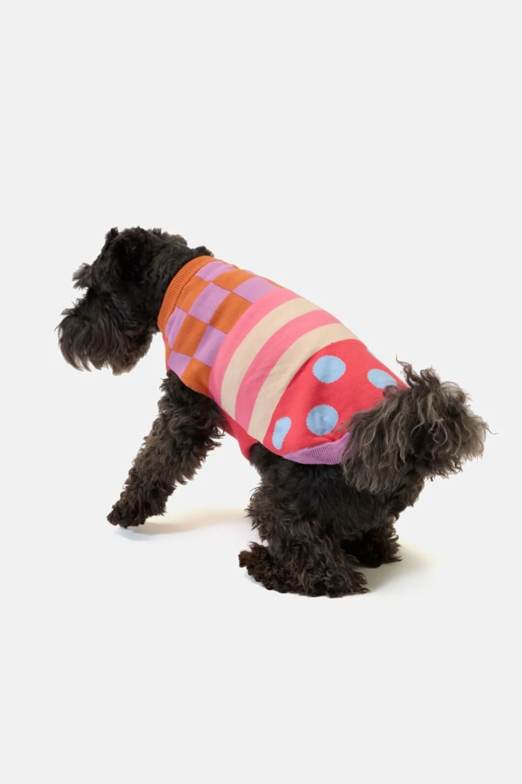Pattern Party Knitted Dog Jumper - Image 3