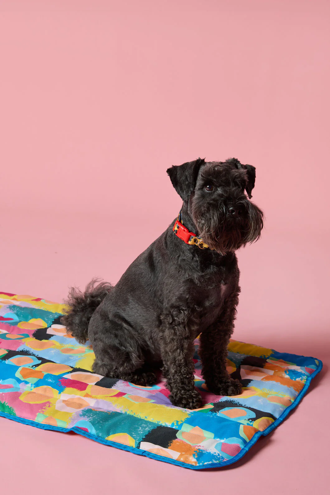 Peach Eclipse Pet Travel Mat - Image 2